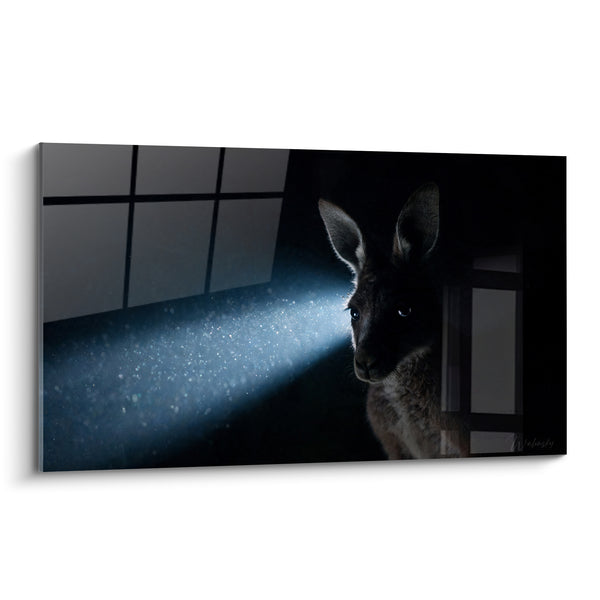 Tableau Kangourou noir et bleu près d'une fenêtre poussiéreuse - Faisceau de poussière - Edition Kangourou