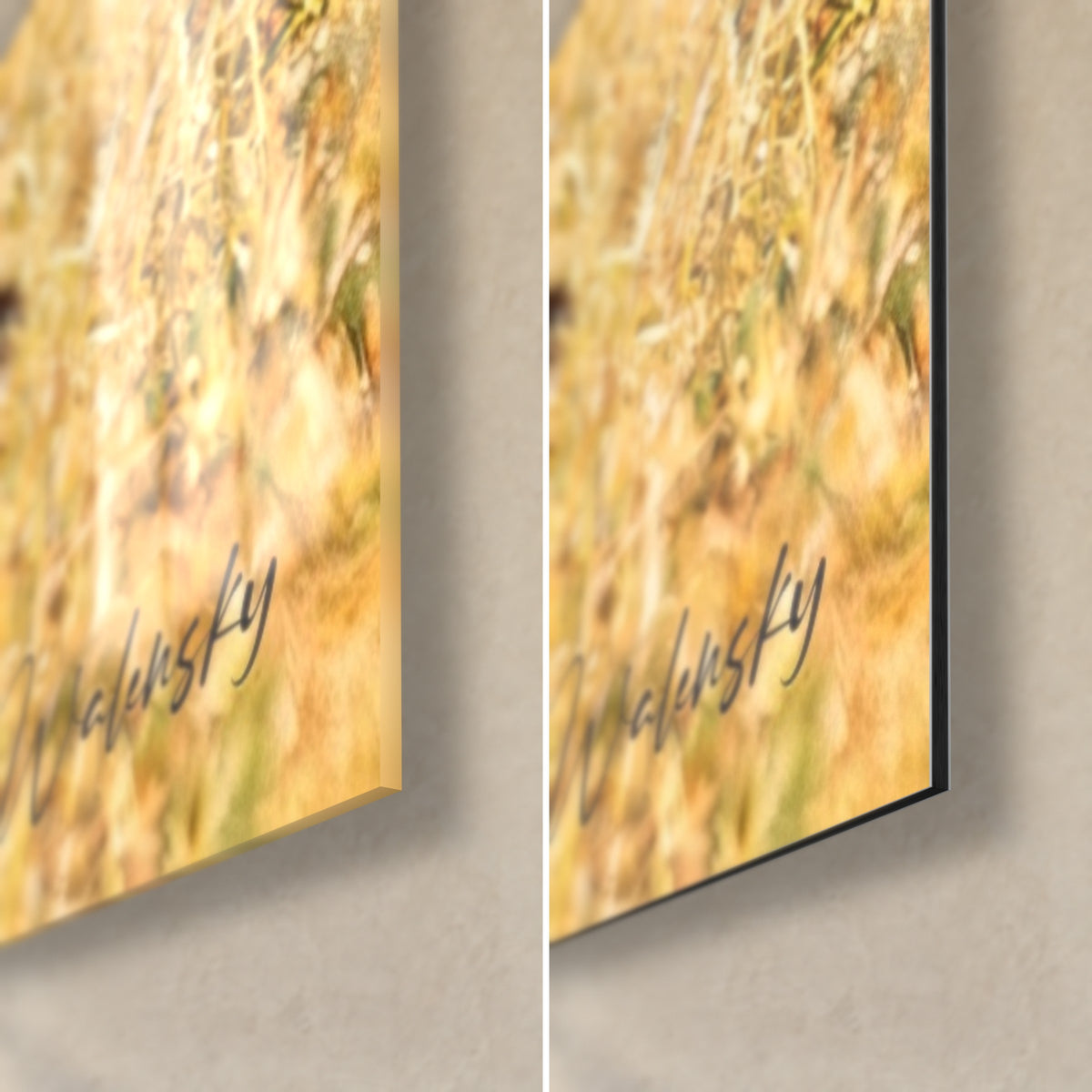 Wall art kangaroo in close-up, bottom right corner: glossy acrylic glass on the left, matte Dibond aluminium on the right, black edge