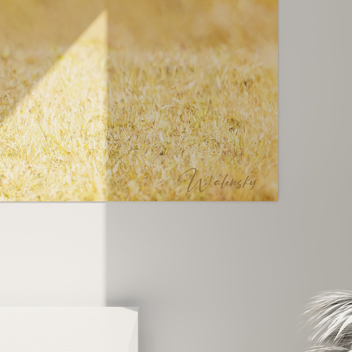 Détail du pelage brun et doré du kangourou révélant le grain et la texture de l'impression