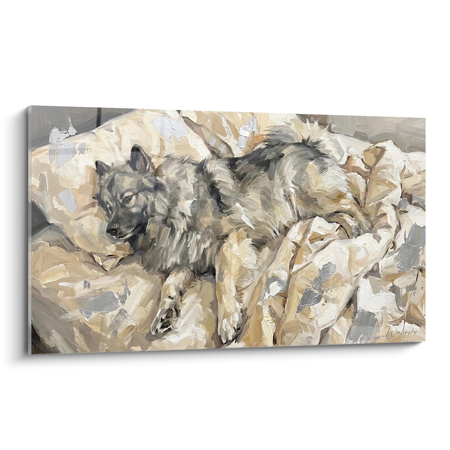 Tableau peinture Keeshond couché tons beiges gris couverture douce repos paisible art canin