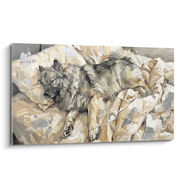 Tableau Keeshond aux Tons Beiges Couché dans une Couverture - Repos Paisible - Edition Keeshond