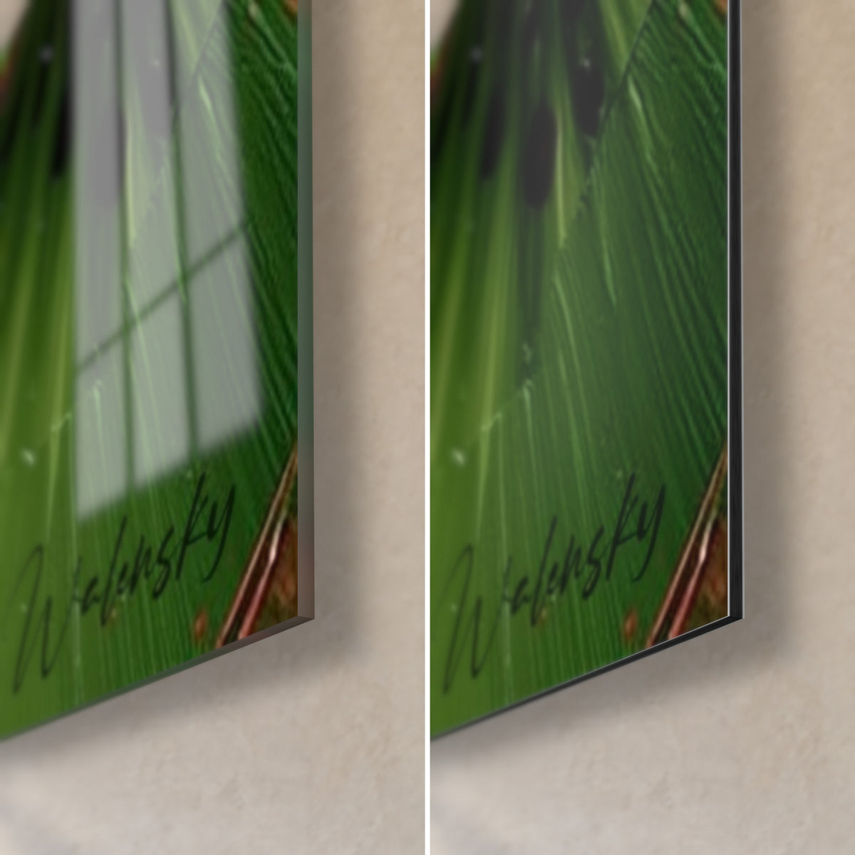 Quadro fetta di kiwi verde, angolo inferiore destro in vetro lucido con riflessi e Dibond bianco opaco, bordo sottile di 3 mm visibile