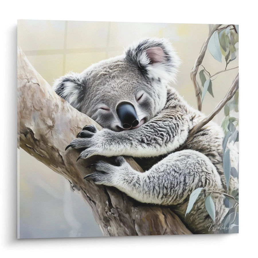 Tableau Koala câlin des branches - édition koala
