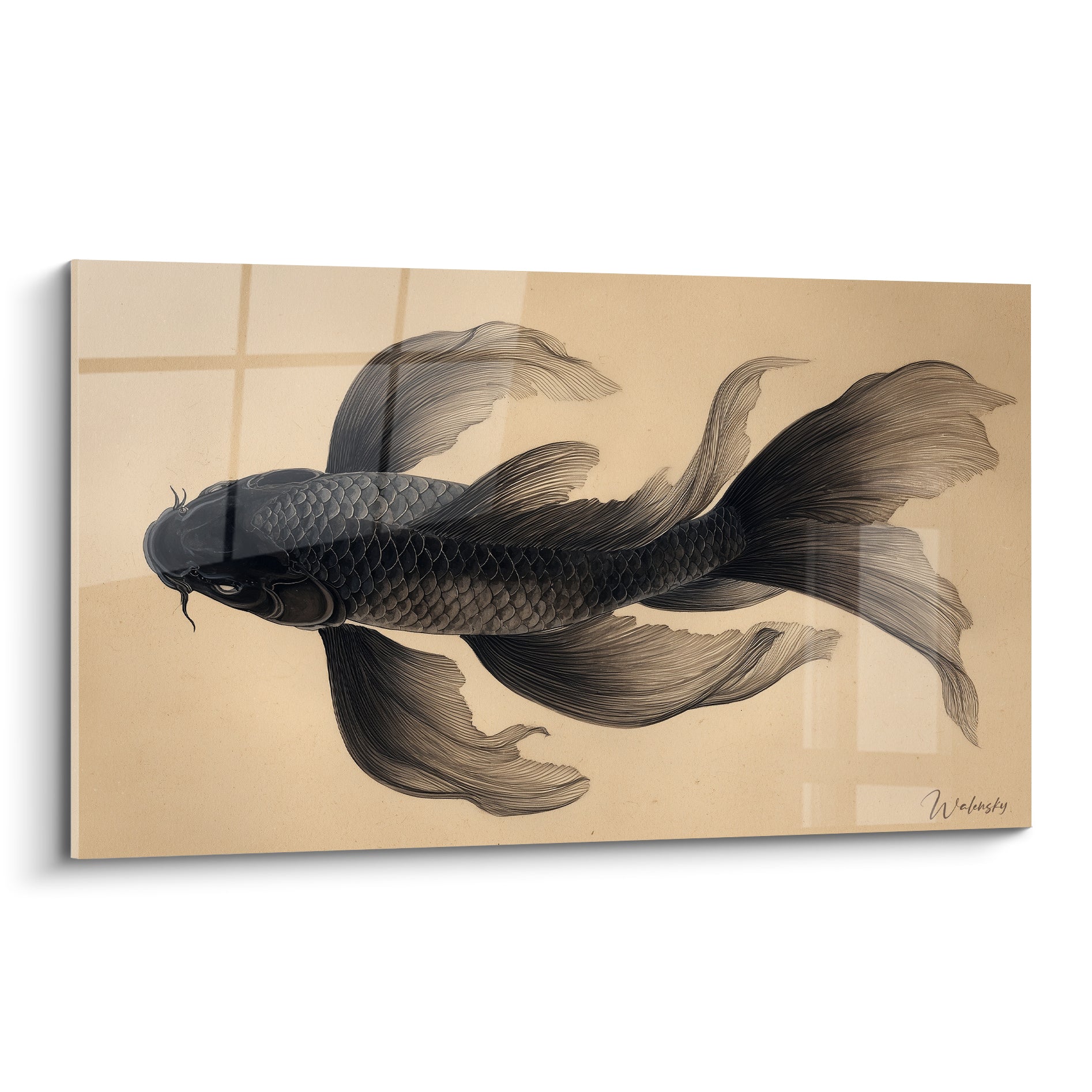 Carpe Koi anthracite aux nageoires voilées déployées sur fond beige ocre texturé