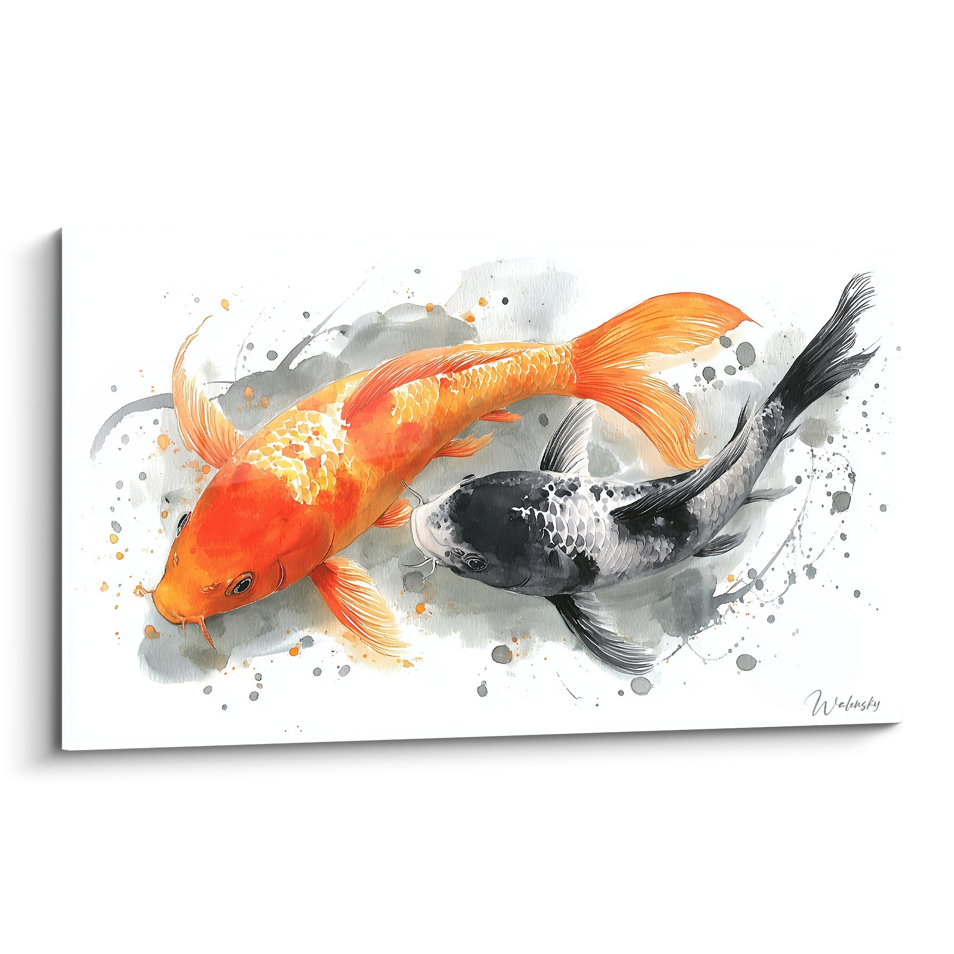 Deux carpes koï orange et noire s'entrelacent sur fond blanc éclaboussé de gris en aquarelle