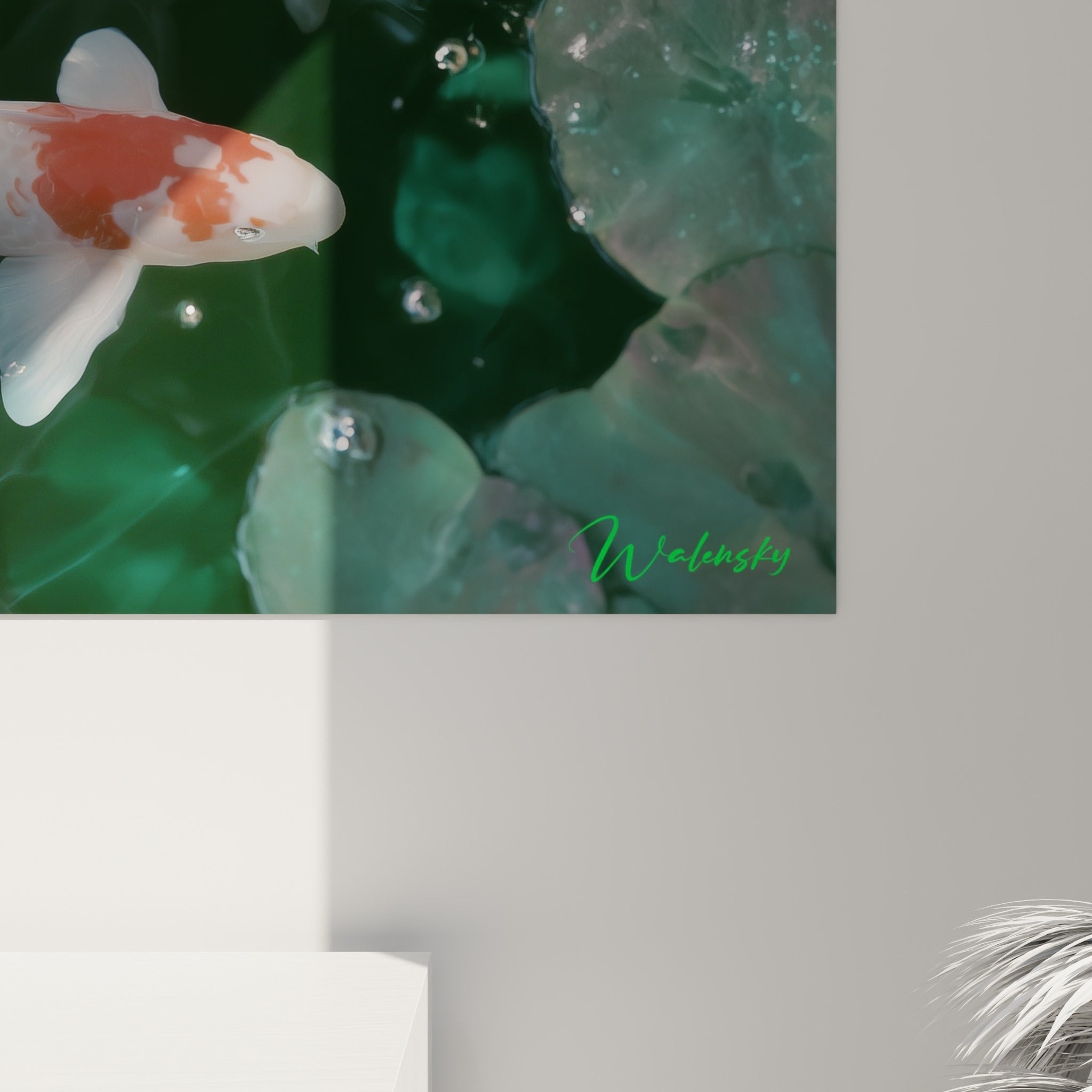 Gouttelettes translucides et écailles orangées du koï, texture aquatique en gros plan