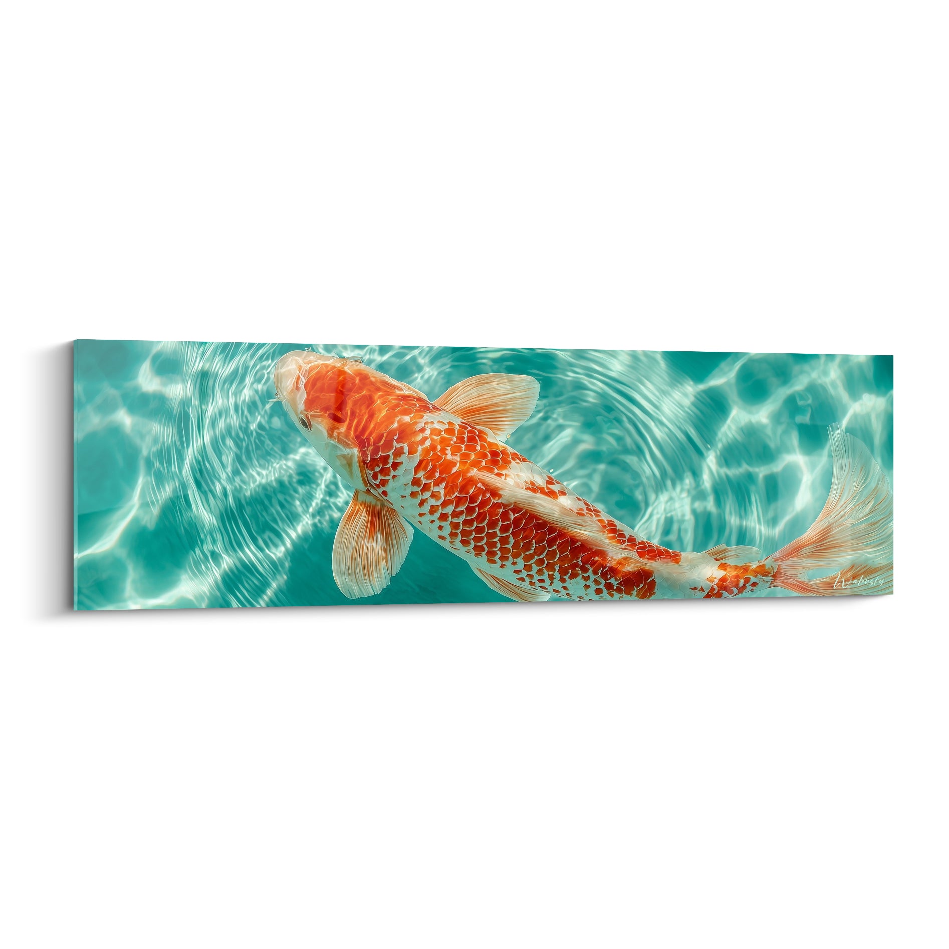 Koi orange et blanc nageant dans une eau turquoise cristalline aux reflets lumineux
