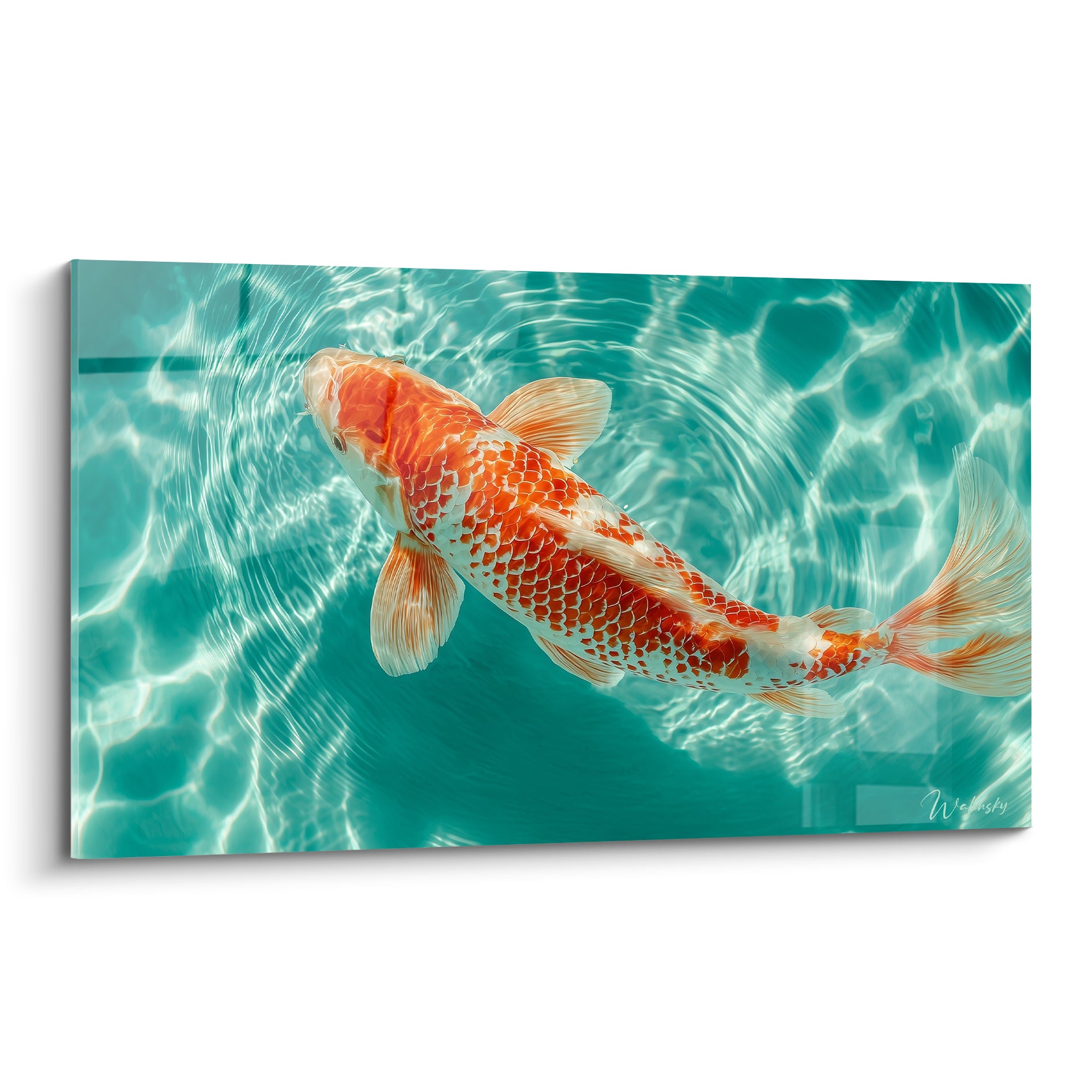Koi orange et blanc nageant dans une eau turquoise cristalline aux reflets lumineux ondulants