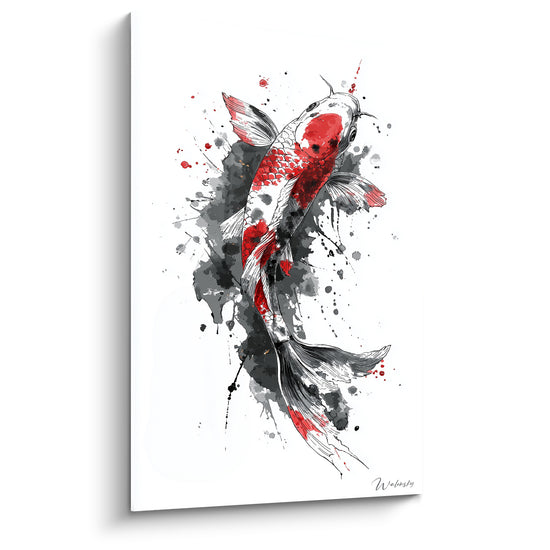 Koi rouge et anthracite nageant vers le haut, corps dessiné au trait fin sur fond blanc