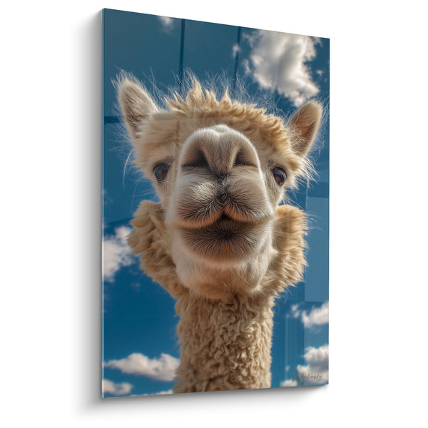 Tableau Lama beige et bleu museau frontal rapproché - Nuages en arrière-plan - Edition Lama