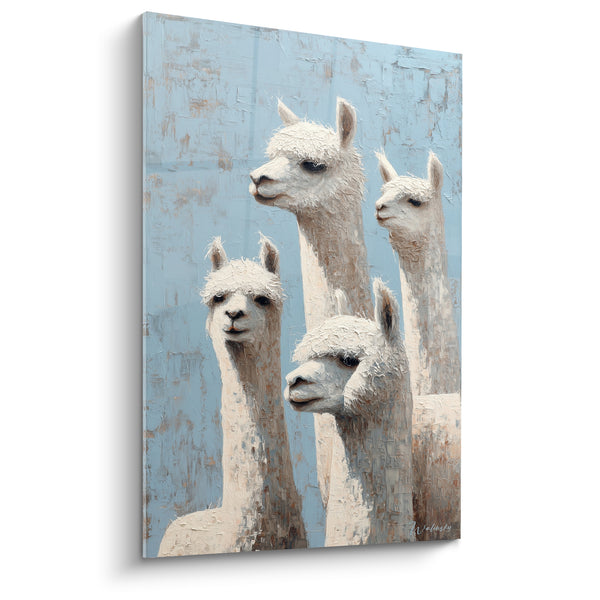 Tableau Lamas blancs au fond bleu poudré - Curiosité en famille - Edition Lama