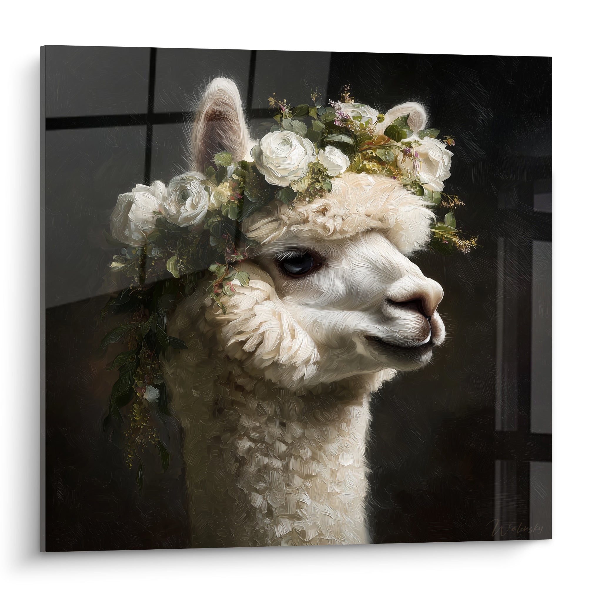 Lama blanc coiffé de roses blanches et de feuillages verts sur fond anthracite peint