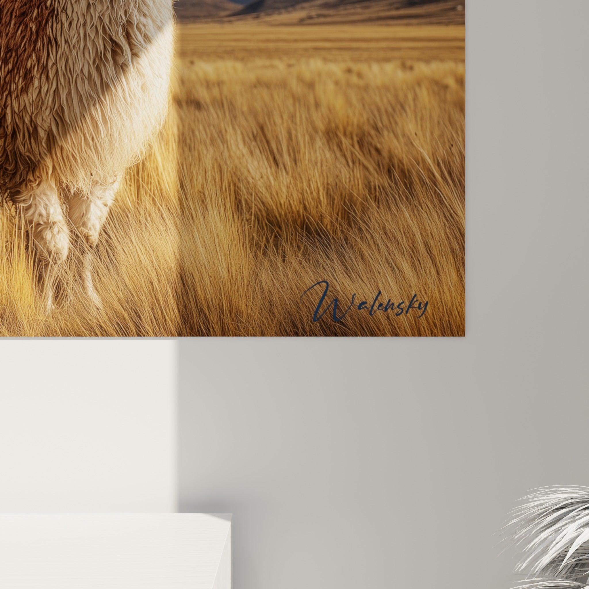 Détail du pelage laineux brun et blanc des lamas, grain photographique fin et lumière dorée sur la toile