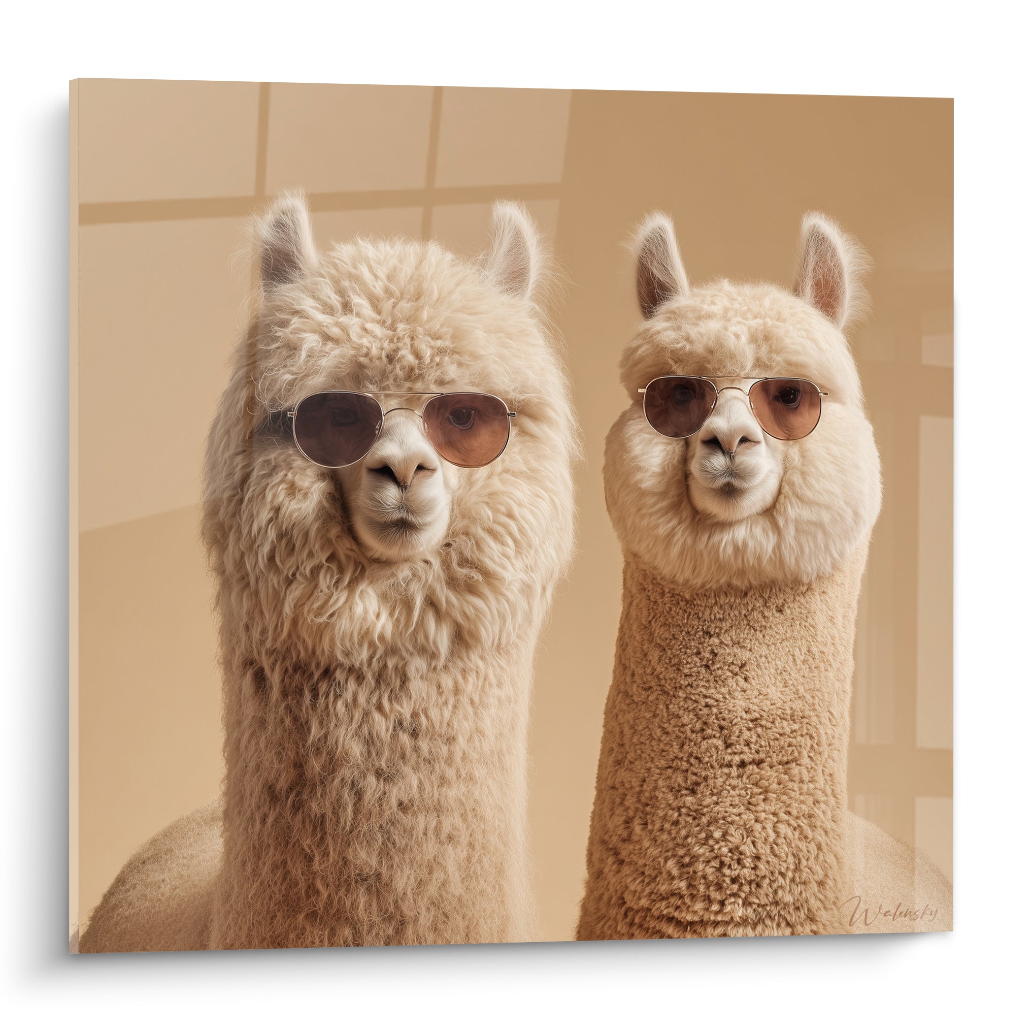 Deux lamas beiges à lunettes de soleil brunes posent côte à côte sur fond crème structuré
