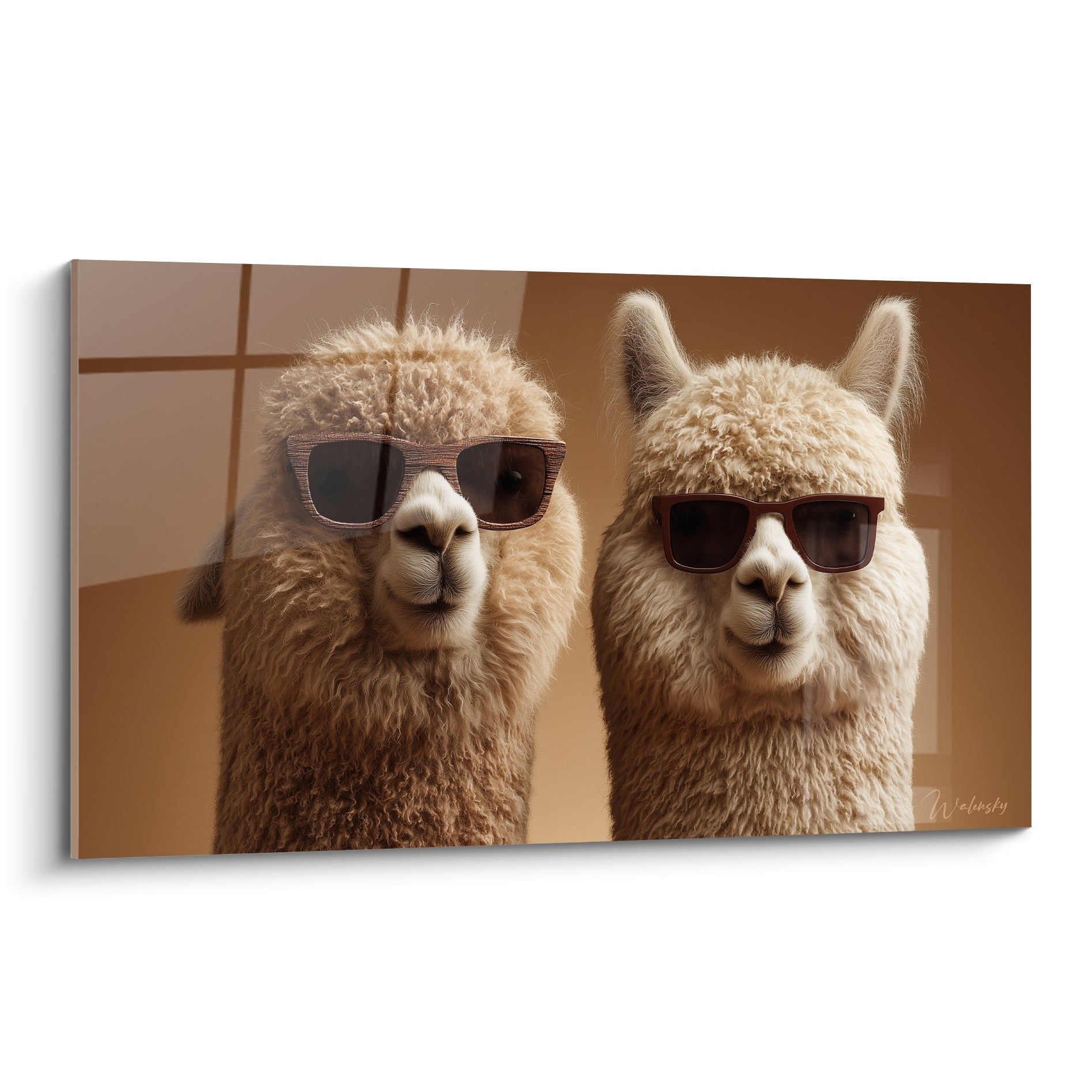 Deux lamas beige et brun portent des lunettes de soleil sombres sur fond terracotta chaleureux