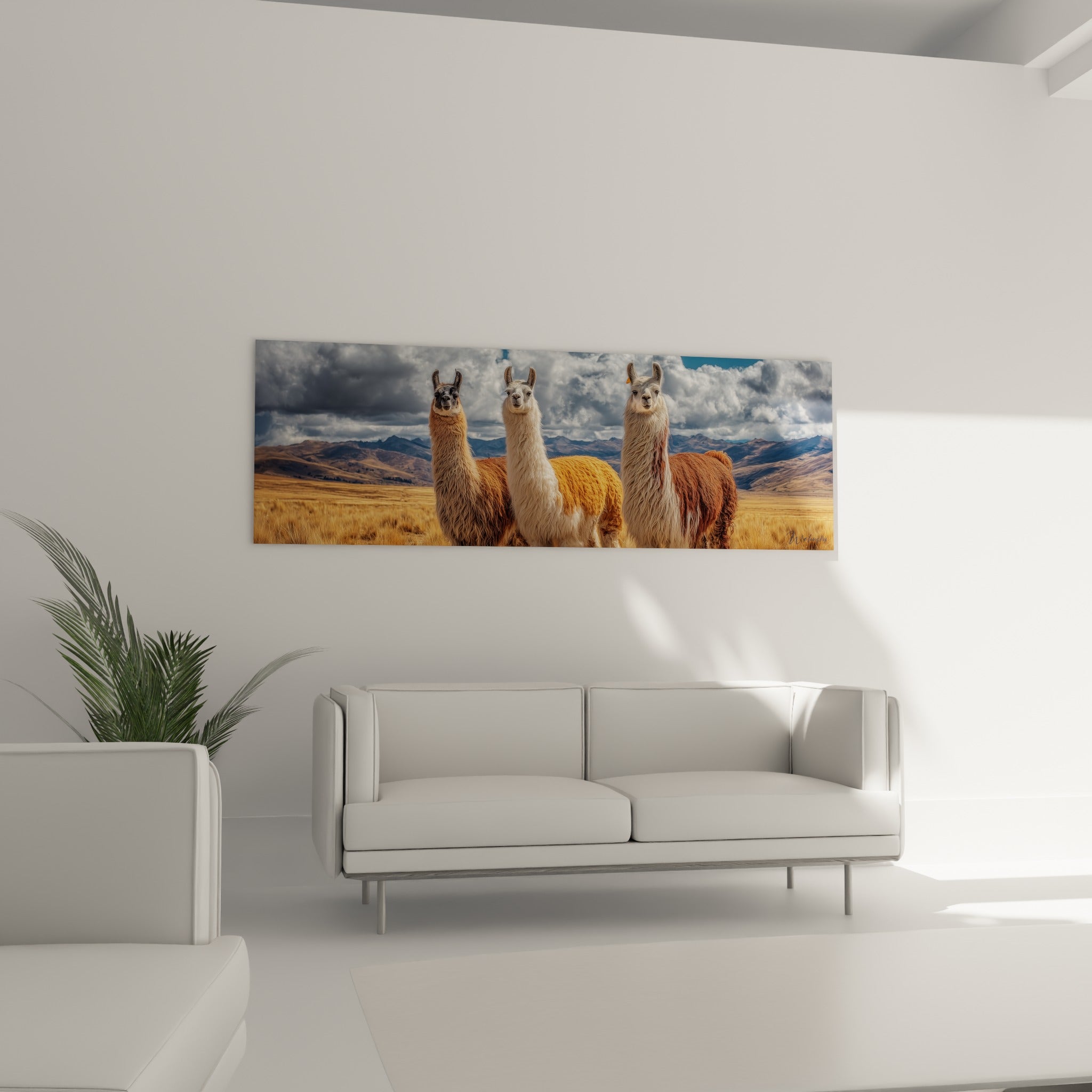 Trio de lamas fauves et blancs accroché au-dessus d'un canapé dans un salon lumineux et épuré