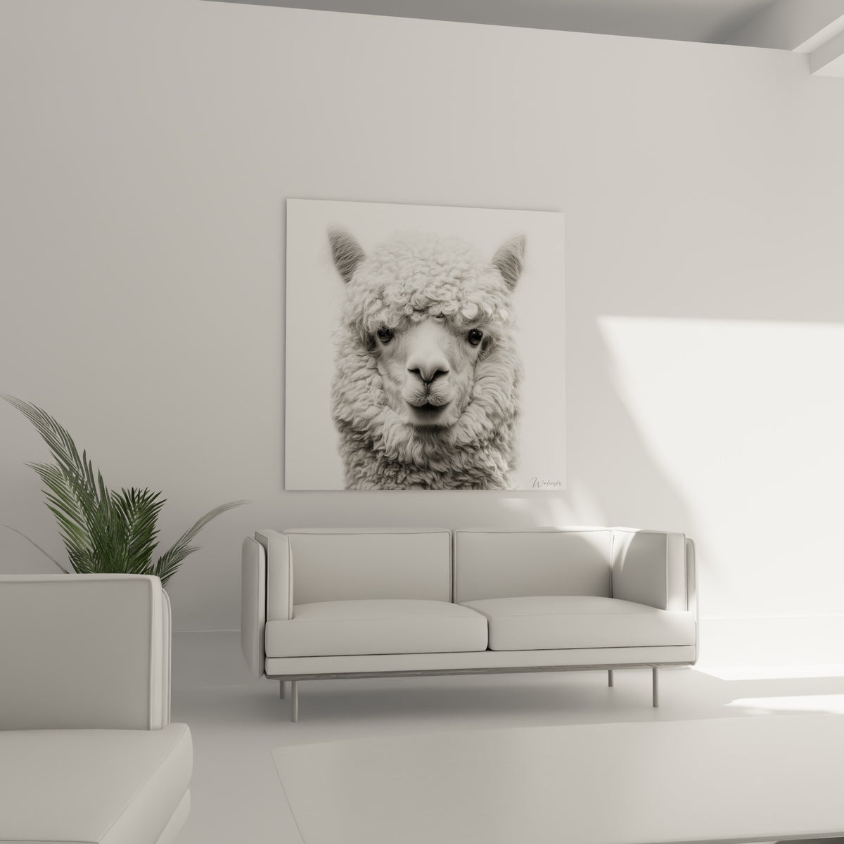 Lama ivoire au museau doux et bouclé, suspendu au-dessus d'un canapé dans un salon lumineux