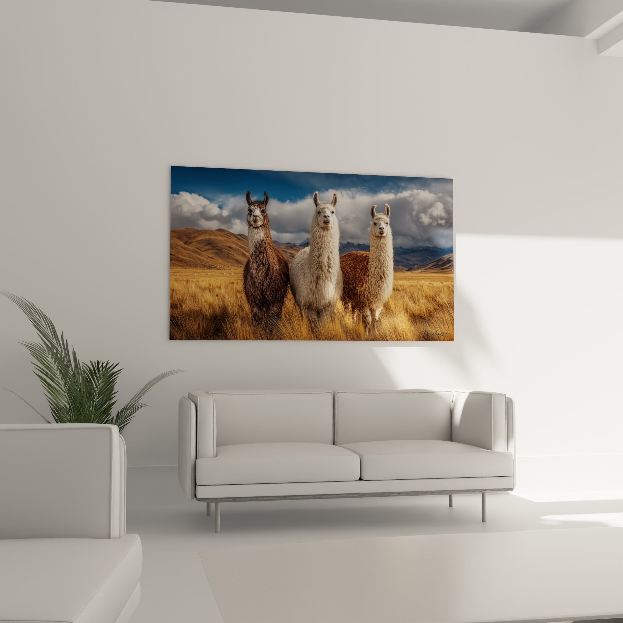 Trio de lamas fixant l'objectif entre herbes dorées et montagnes bleutées, au-dessus d'un canapé dans un salon lumineux