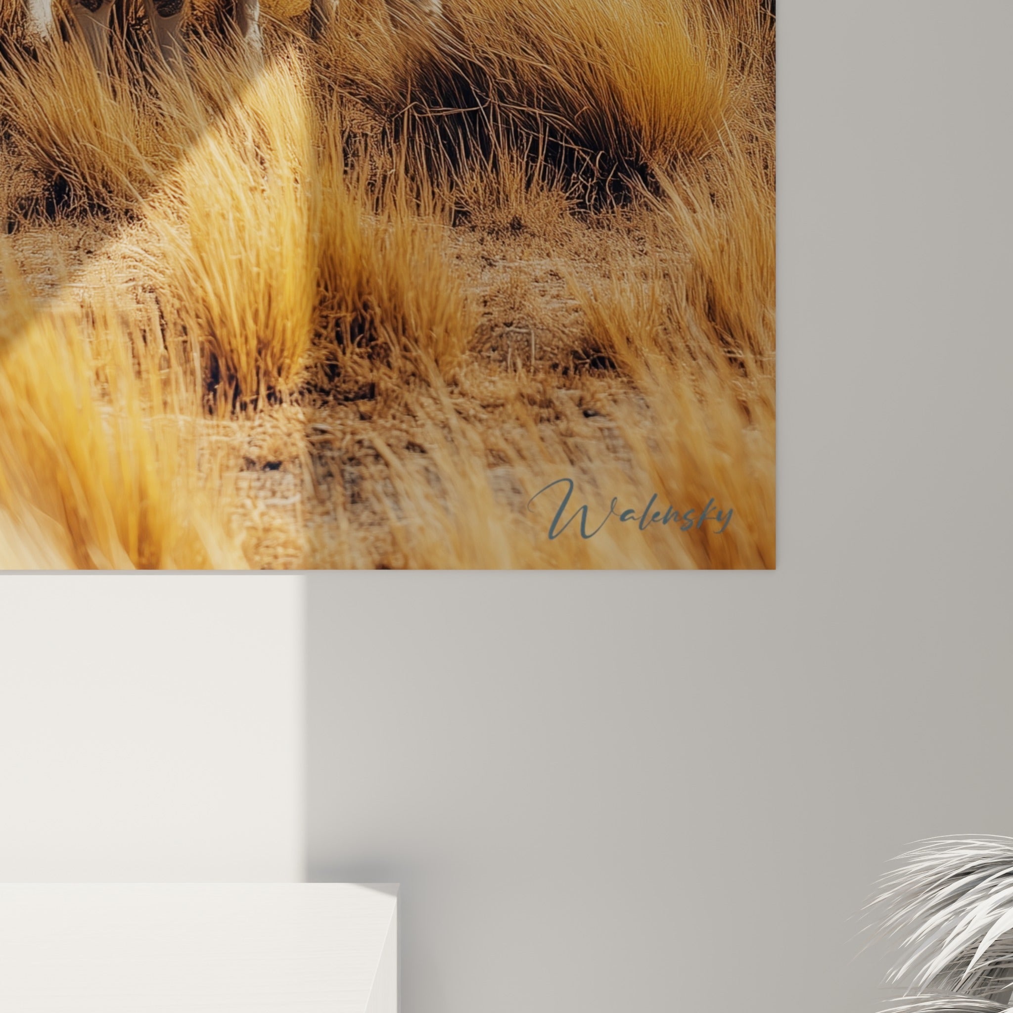 Détail de la toile montrant le pelage texturé blanc et beige des lamas et le grain de l'impression sur le bleu du ciel