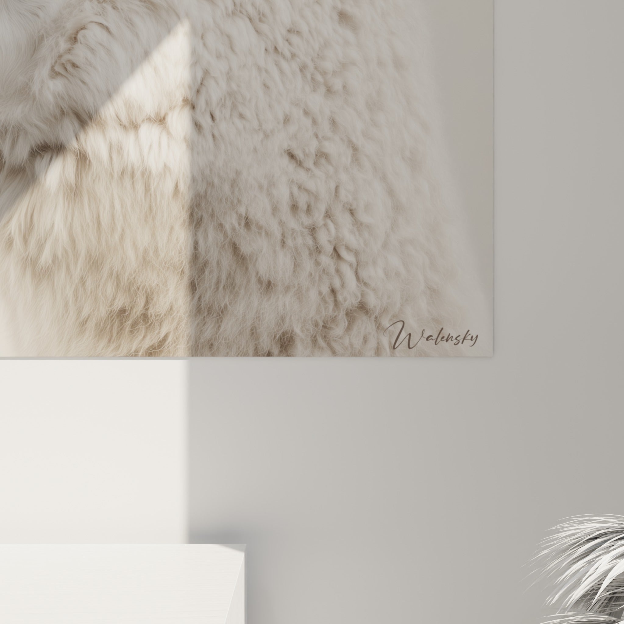 Détail du pelage bouclé du lama, mèches blanches et beige mêlées avec grain photographique visible de près