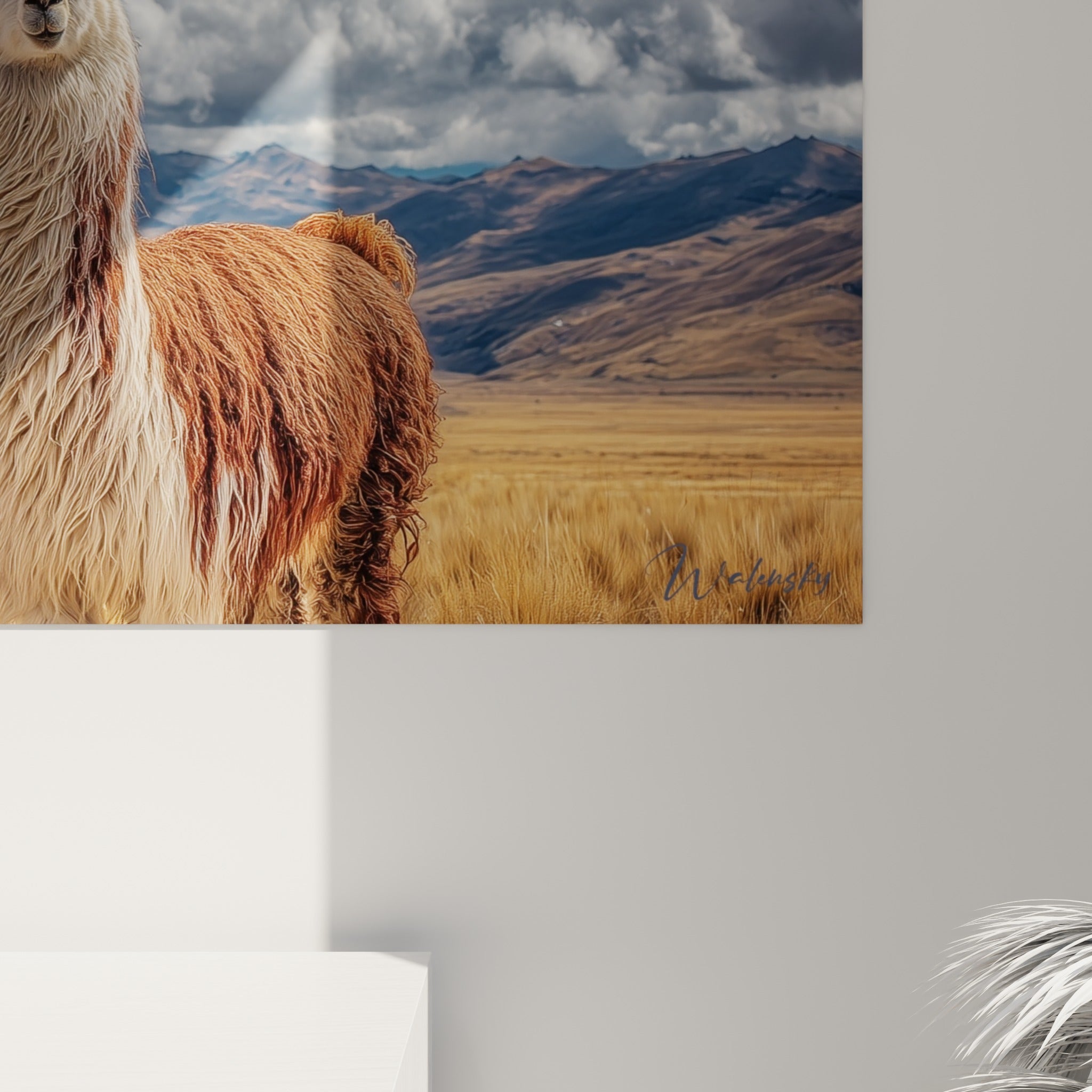 Détail rapproché du pelage roux et blanc des lamas révélant la texture dense et le grain de l'impression