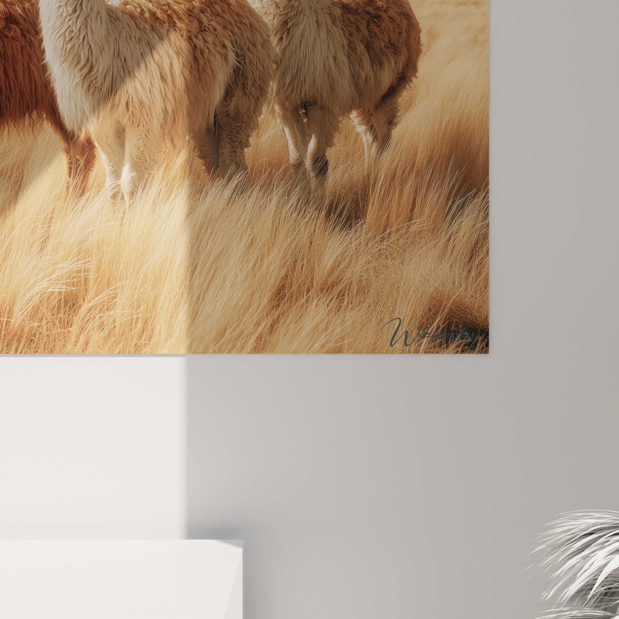 Détail du pelage texturé brun roux et blanc des lamas, grain de l'impression et lumière dorée sur la toile