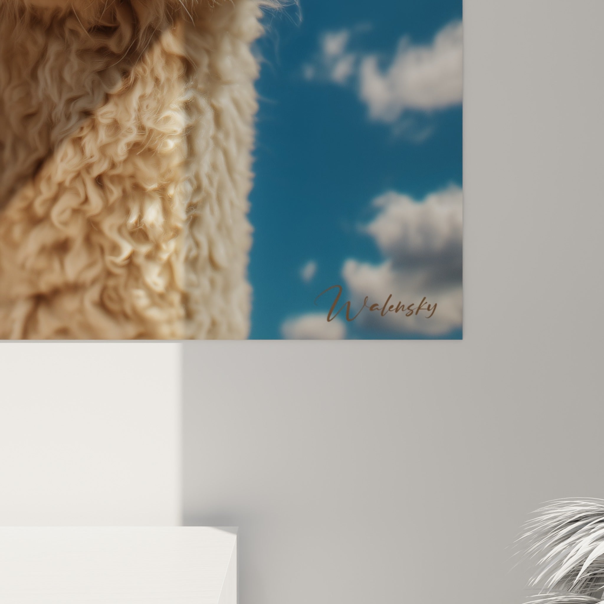 Détail des poils bouclés du lama beige, texture soyeuse et reflets dorés contre le bleu du ciel