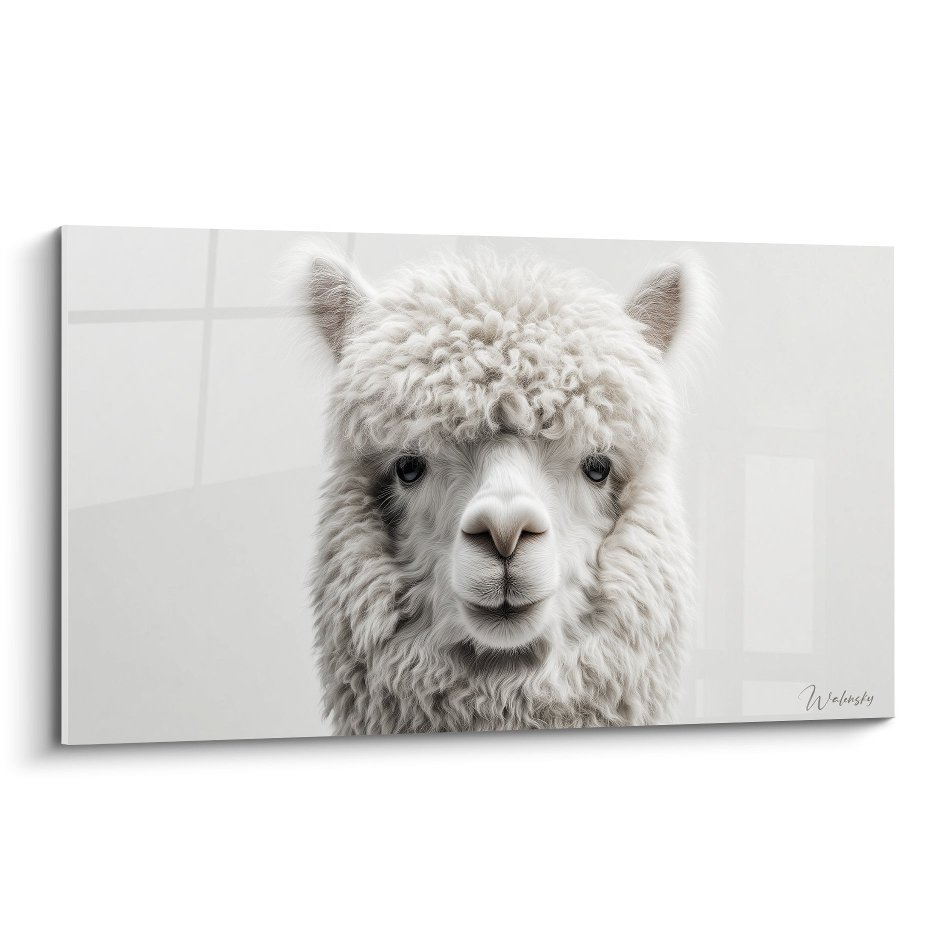 Lama blanc et gris à la toison bouclée, regard sombre et museau rosé, portrait frontal détaillé