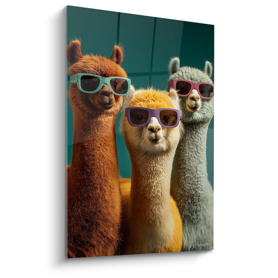 Tableau Trio de lamas roux et gris à lunettes carrées - Fond sarcelle quadrillé - Edition Lama
