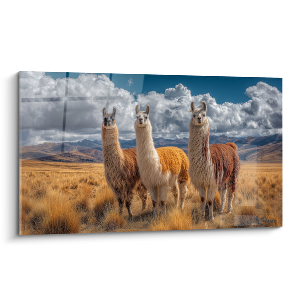 Tableau Trio de lamas roux et blancs dans la pampa - Gardiens des cimes - Edition Lama