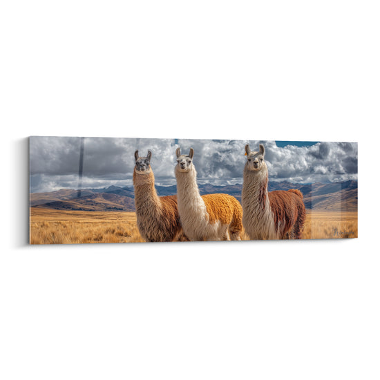 Trois lamas roux et blancs se dressent côte à côte devant des montagnes bleutées et un ciel nuageux