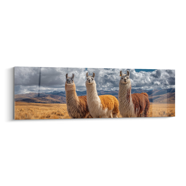 Tableau Trois lamas roux et blanc dans la prairie - Sentinelles des cimes - Edition Lama