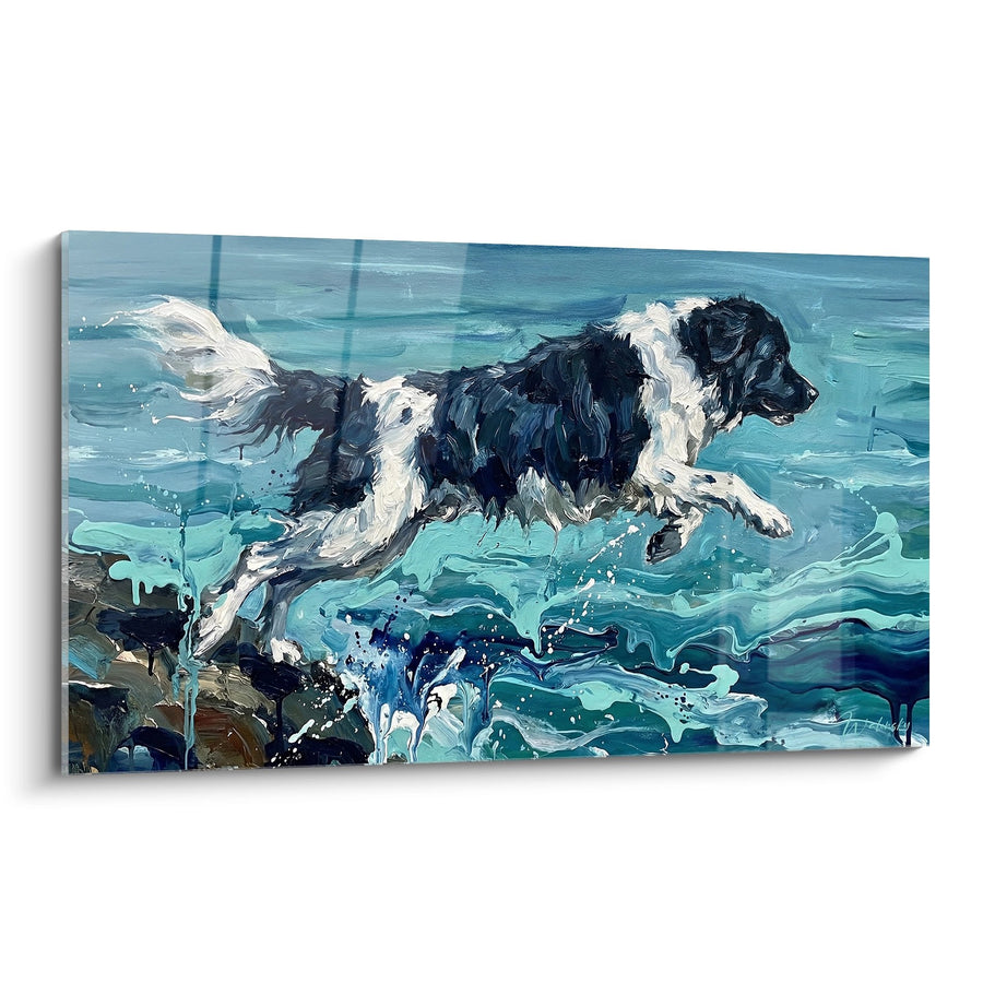 Tableau Landseer noir et blanc sautant dans l'eau turquoise éclatante - Élan aquatique - Edition Landseer