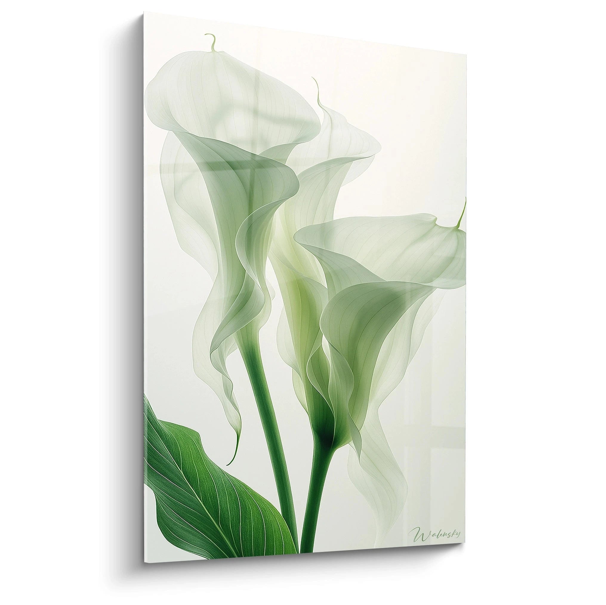 Un tableau fleurs représentant des arums blancs aux pétales translucides sur tiges vertes, avec des textures délicates révélant les nervures végétales. Les tons verts pâles et blancs créent une composition aérienne sur fond beige clair.

