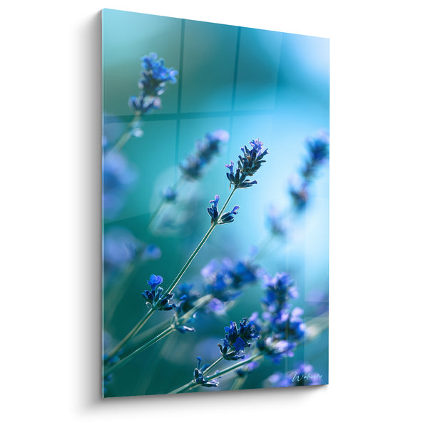 Tableau Épis violets et bleu turquoise à mailles quadrillées - Fond quadrillé lumineux - Edition Lavande