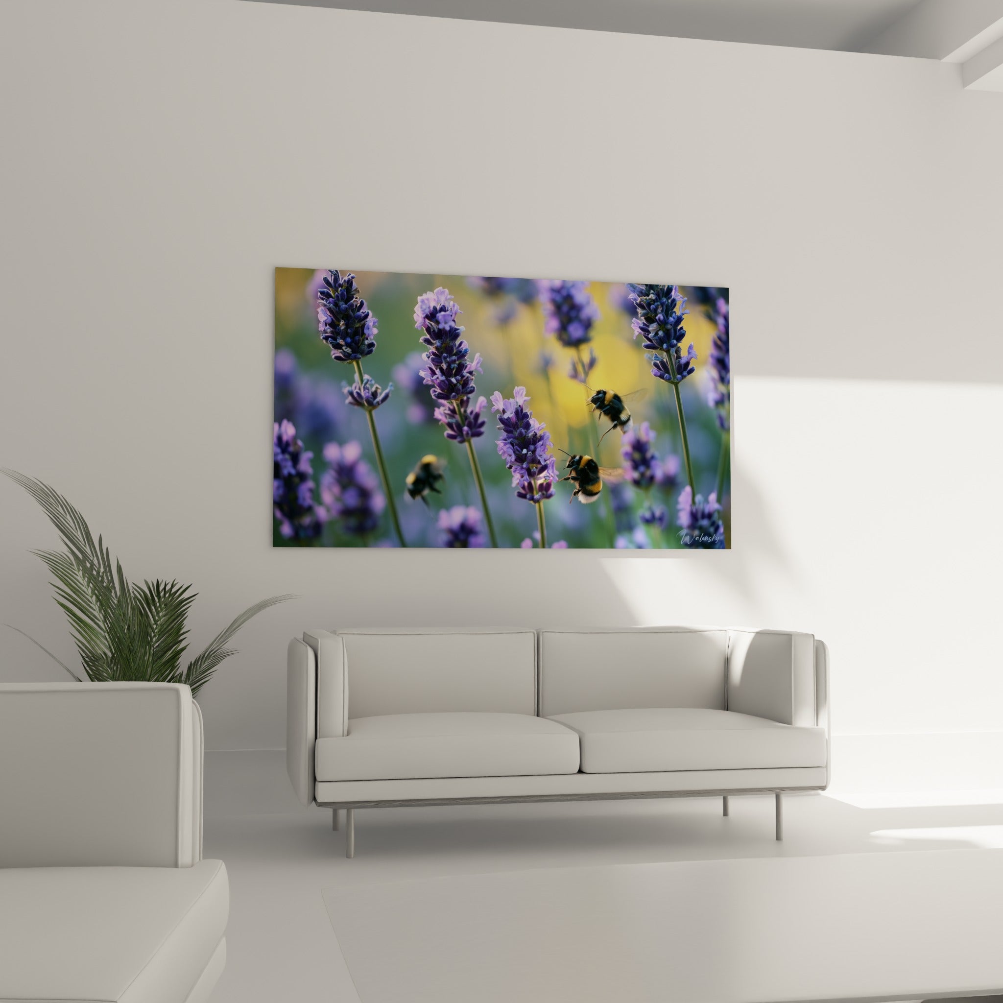 Fleurs de lavande mauve et bourdons en vol doré au-dessus d'un canapé dans un salon lumineux