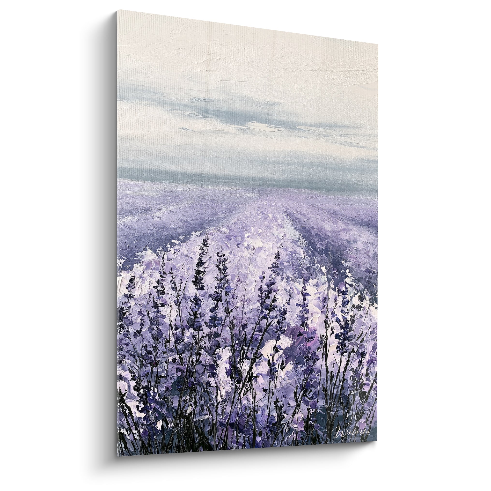 Champ de lavande mauve et blanc en gros plan, épis texturés sous un ciel brumeux gris