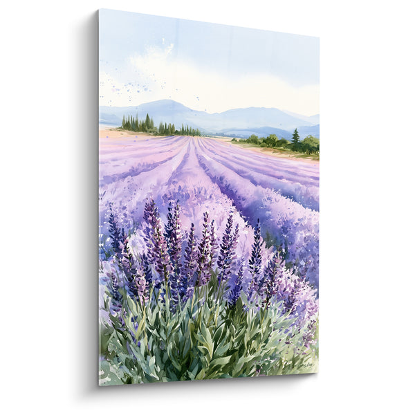 Tableau Champ violet et bleu vers les montagnes - Rangs de cyprès lointains - Edition Lavande