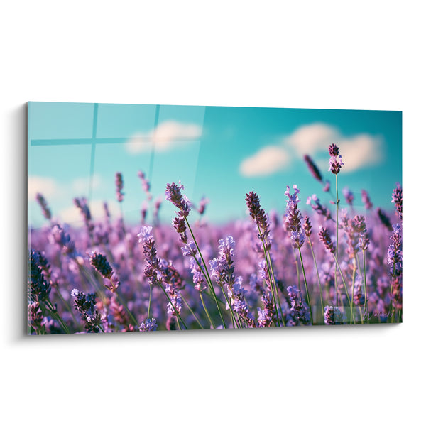 Tableau Champ de lavande violet et ciel turquoise - Brise de Provence - Edition Lavande