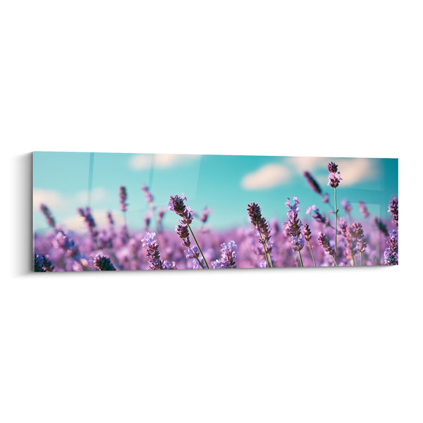 Tableau Épis violets et turquoise sous nuages cotonneux - Petits nuages blancs - Edition Lavande