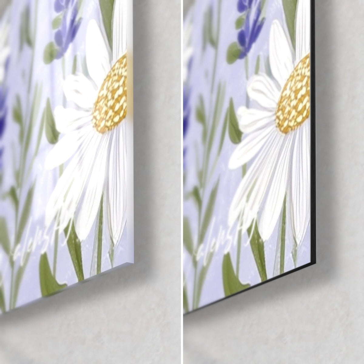Wall art white daisy with a golden yellow centre, petals on a lilac background, bottom right corner: glossy glass and matte black Dibond