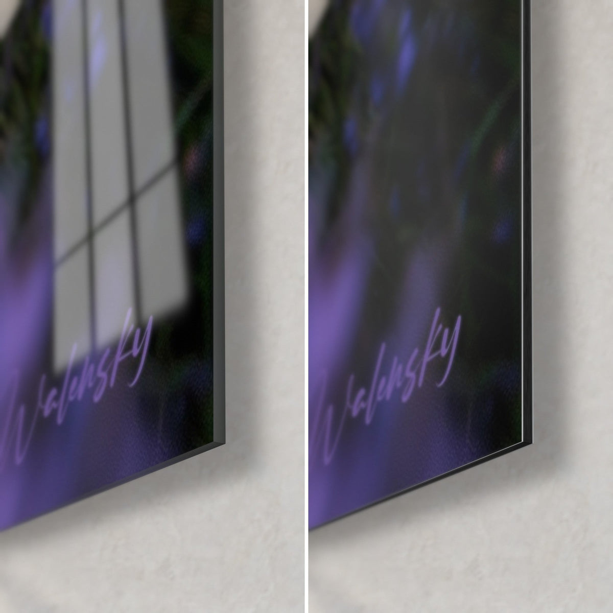 Wall art white geese in violet lavender, bottom-right corner: glossy acrylic glass on the left, matte Dibond on the right, 3 mm edge