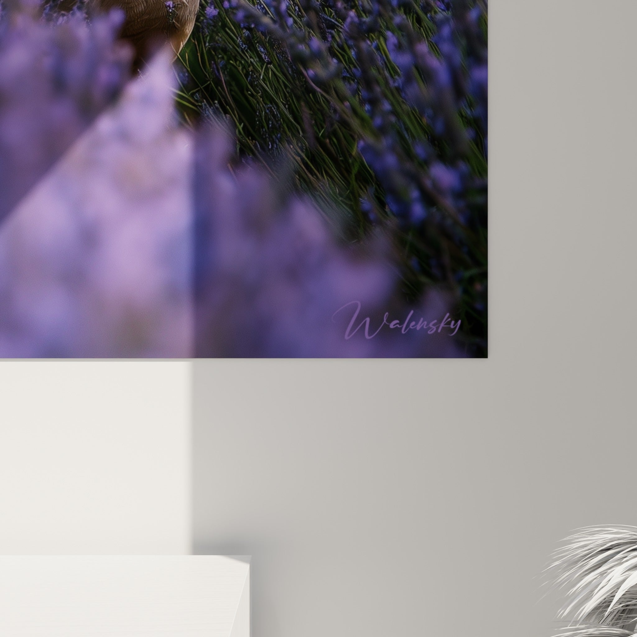 Détail du grain photographique révélant le mauve profond de la lavande et le blanc des plumes