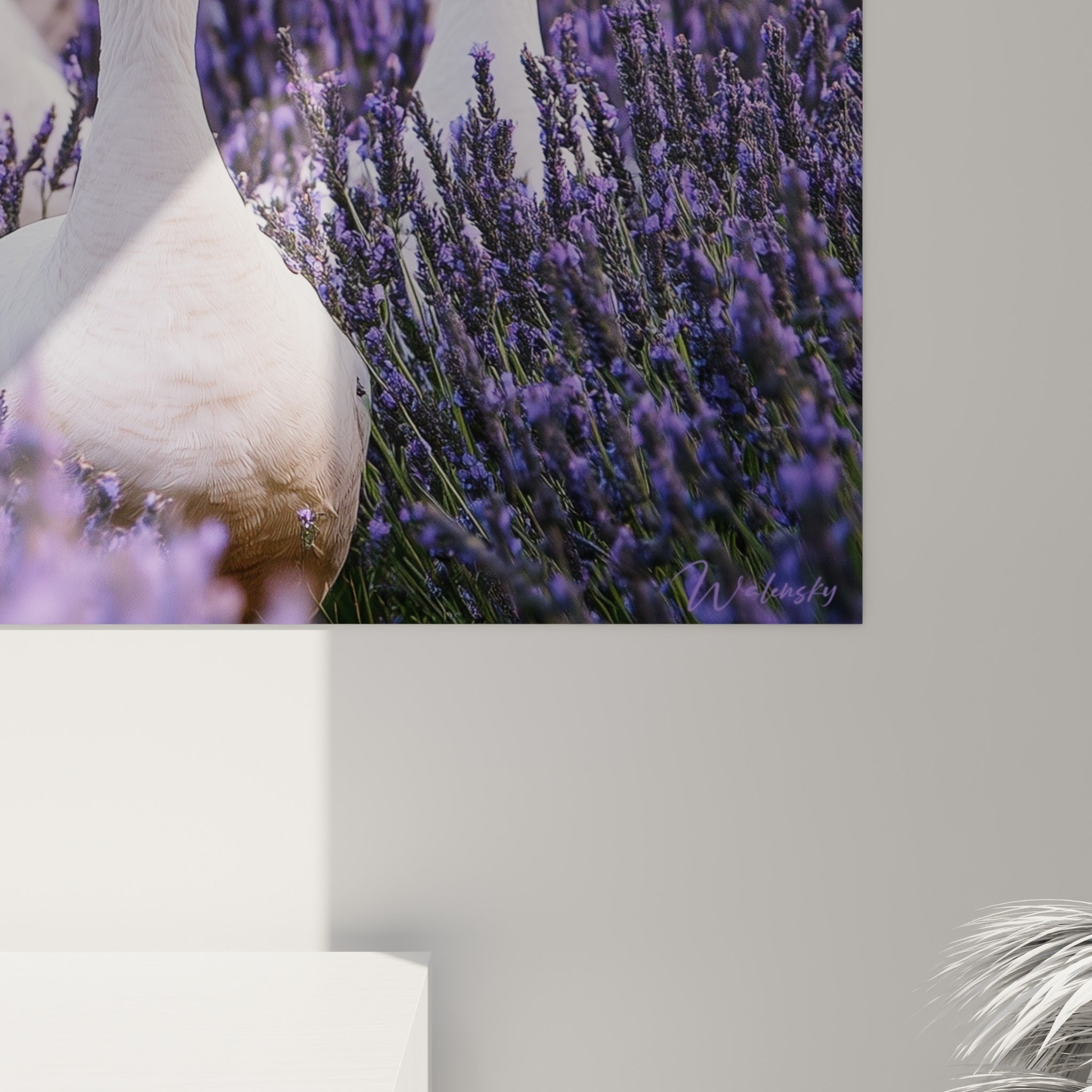 Détail des plumes blanches et des épis violets, grain fin révélant la texture de l'impression