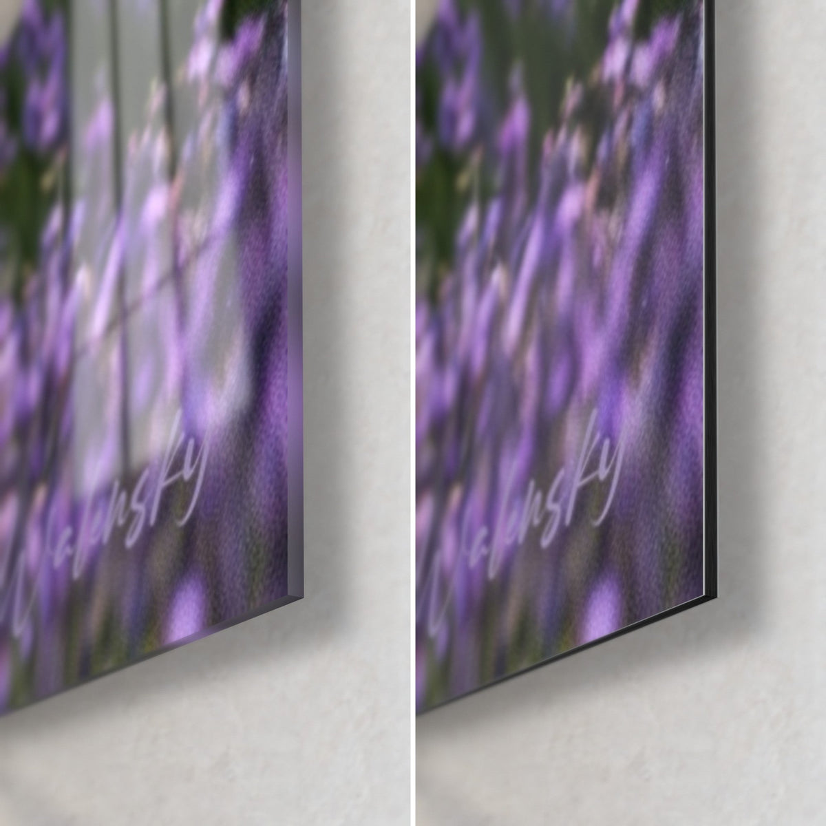 Gemälde Lavendelfeld in Violett und zartem Grün, Ecke unten rechts: glänzendes Acrylglas links, mattes Alu-Dibond rechts, 3 mm Kante