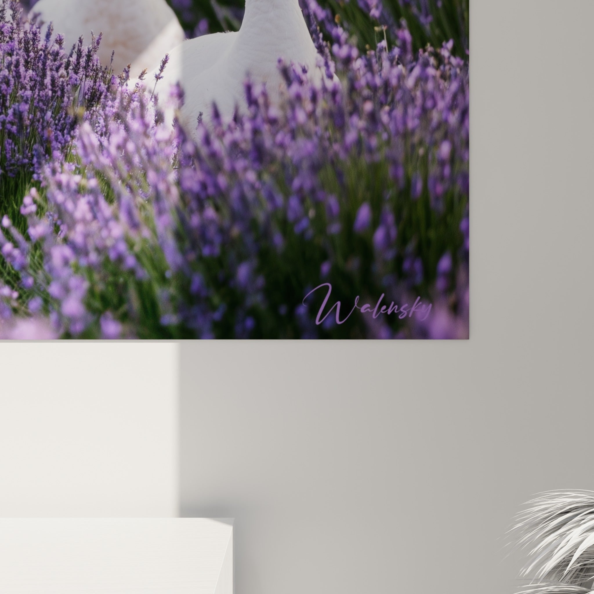 Détail du grain de l'impression révélant les nuances violettes et blanches du champ de lavande
