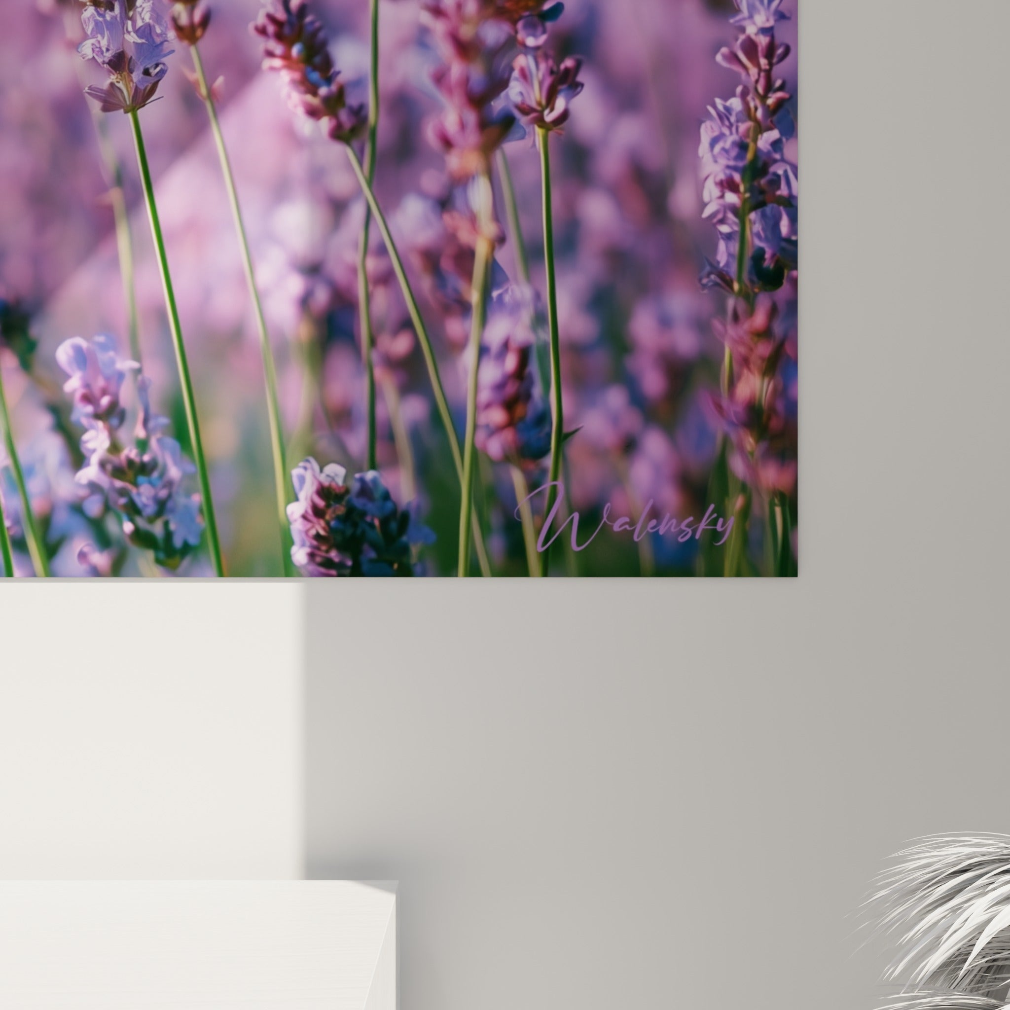 Détail des épis de lavande violets, texture florale fine sur fond bleu-vert flouté