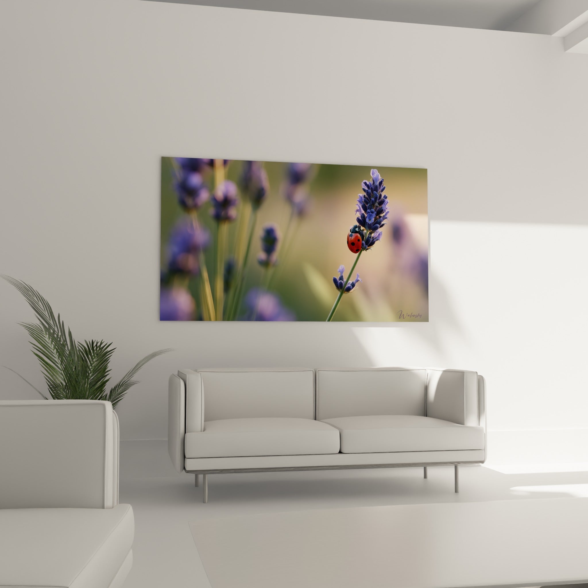 Fleur de lavande violette et insecte rouge au-dessus d'un canapé dans un salon lumineux