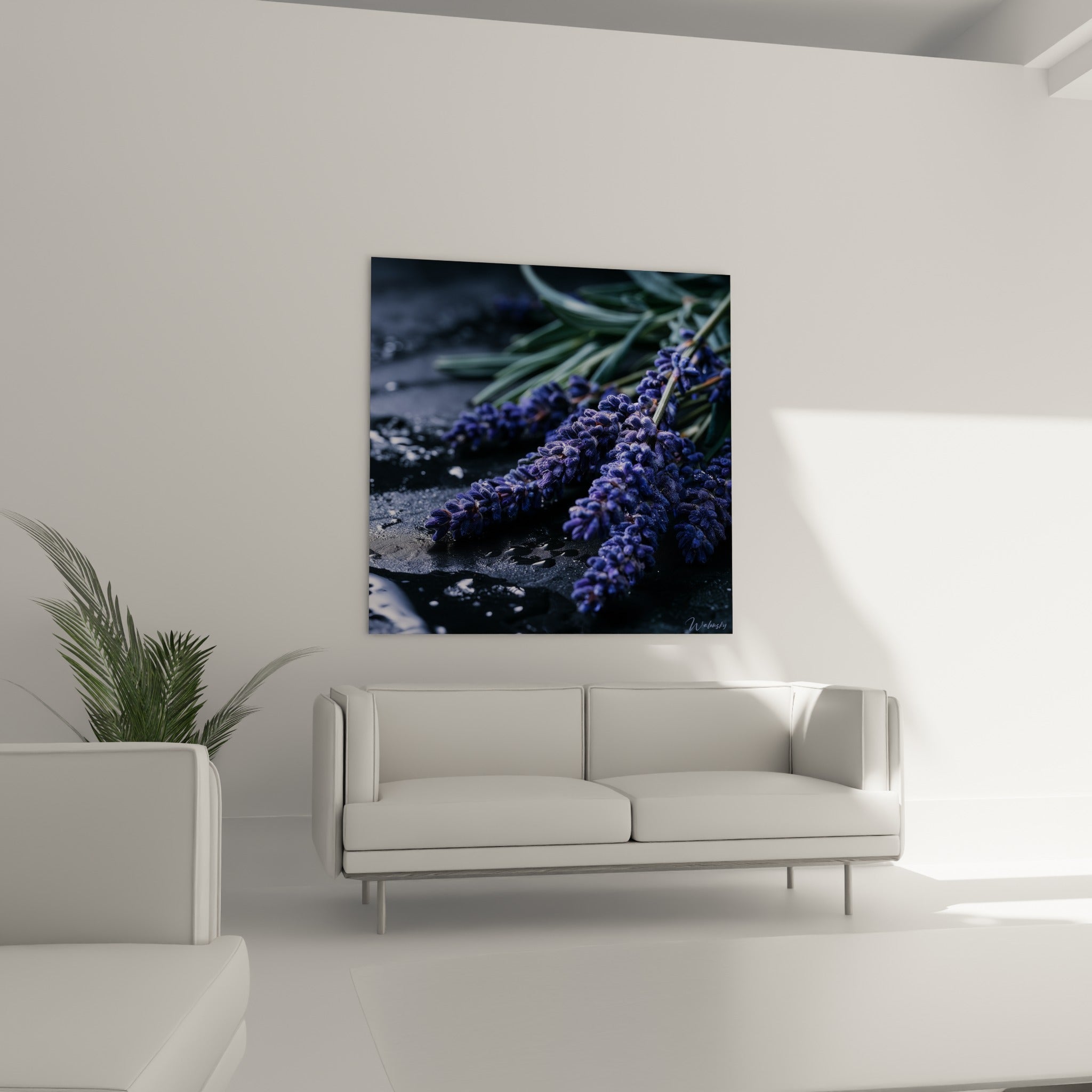Fleurons de lavande violette sur ardoise sombre mouillée, au-dessus d'un canapé dans un salon lumineux