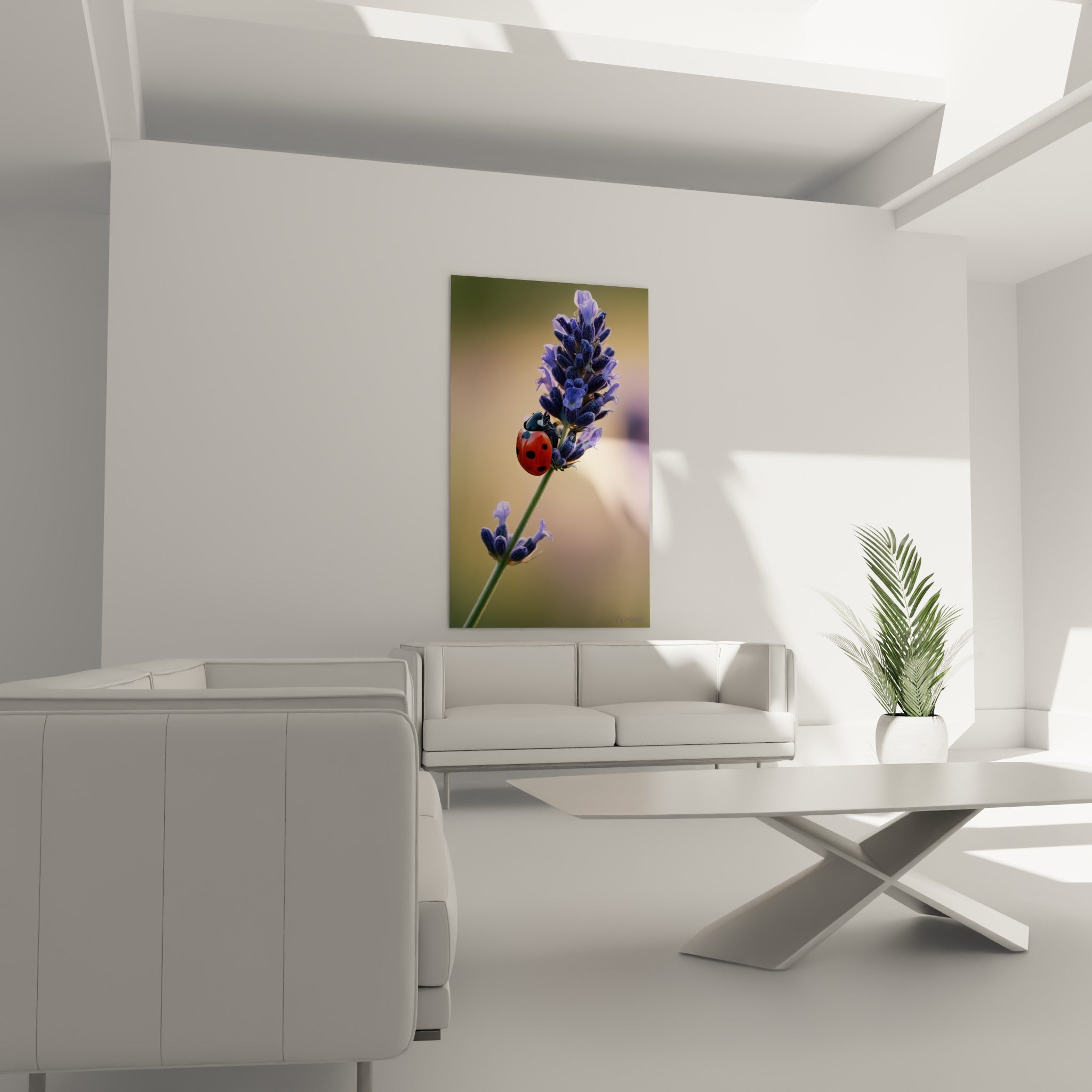 Épi violet et coccinelle tachetée de noir au-dessus d'un canapé dans un salon lumineux